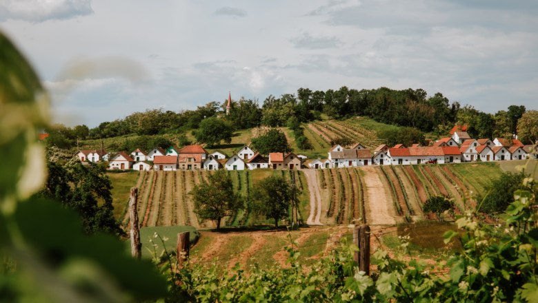 Weinviertler Landschaft