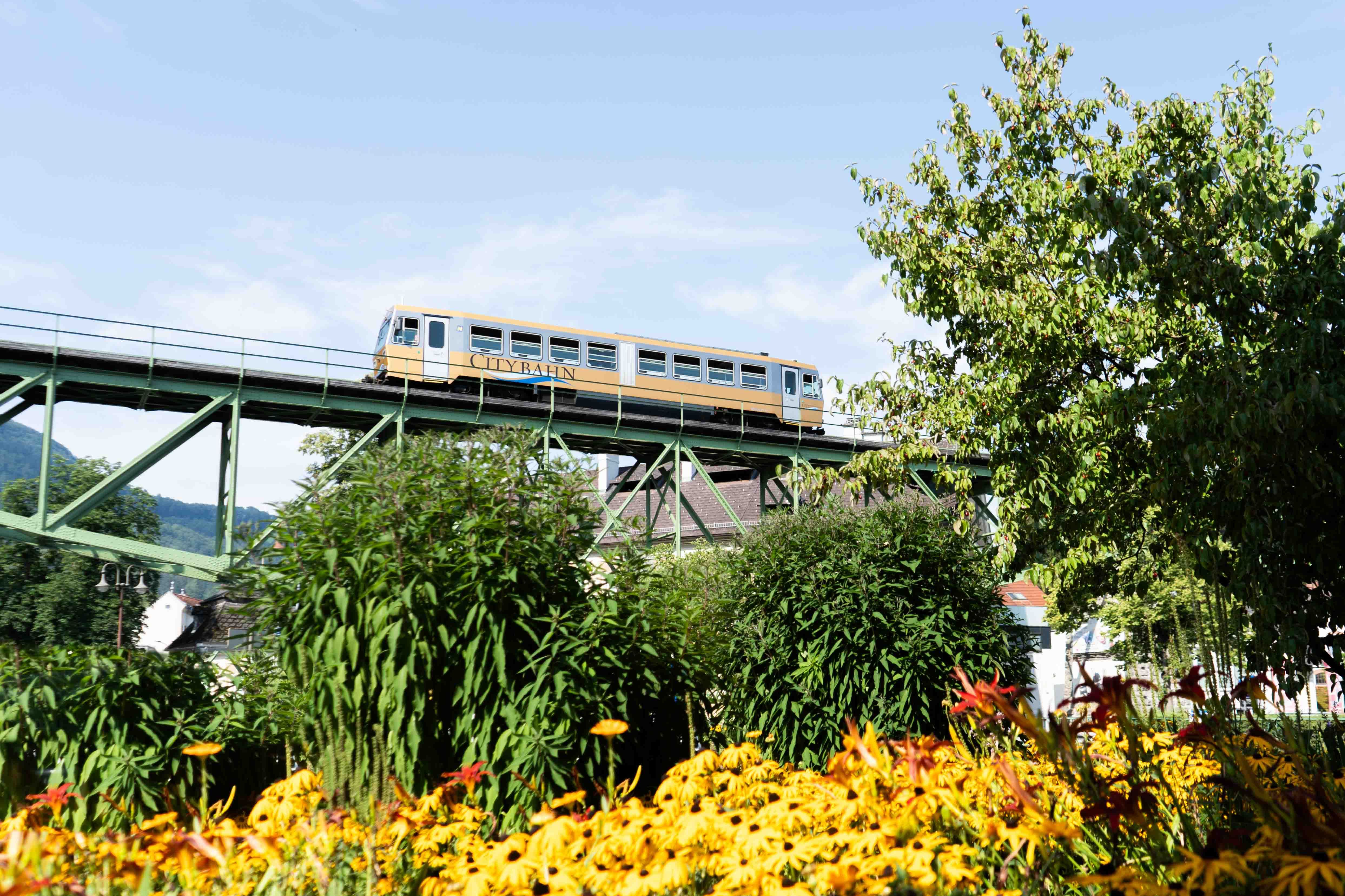 Citybahn Waidhofen im Sommer auf dem Viadukt.