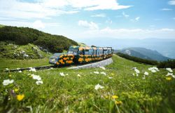 Salamanderzug der Schneebergbahn bei Fahrt Richtung Bergbahnhof. Im Hintergrund sieht man das alpine Panorama der umliegenden Berge.