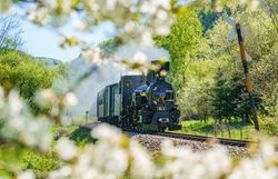 Dampflok der Mariazellerbahn im Sommer