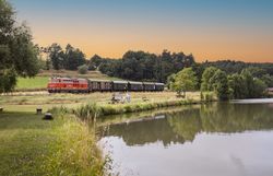 Reblaus Express im Sommer vor einem Teich.