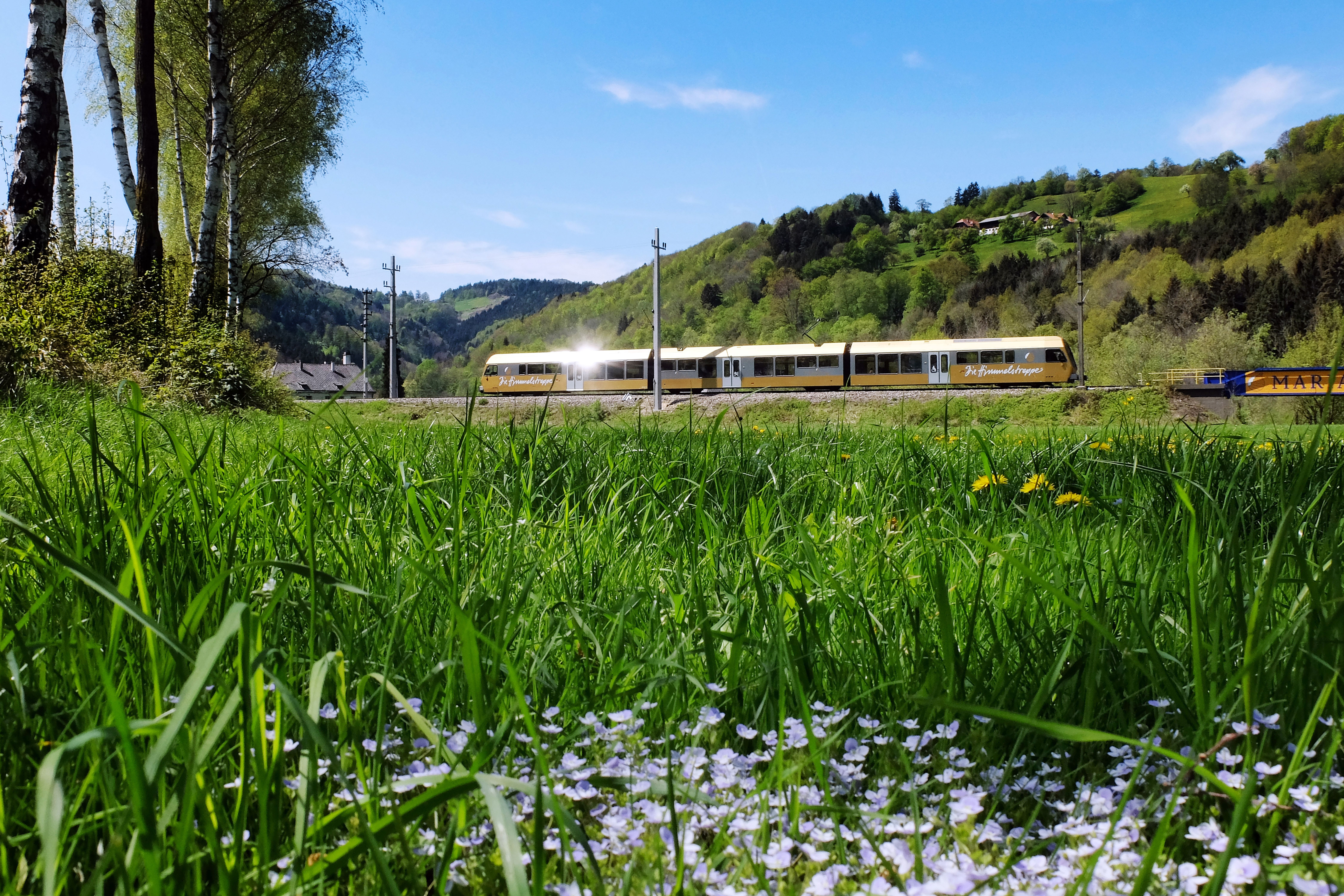 Der Zug Himmelstreppe vor einer grünen Wiese und mit blauem Himmel