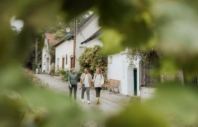 Weinviertler Kellergasse mit spazierenden Menschen 