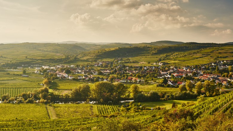 Blick auf das Kamptal