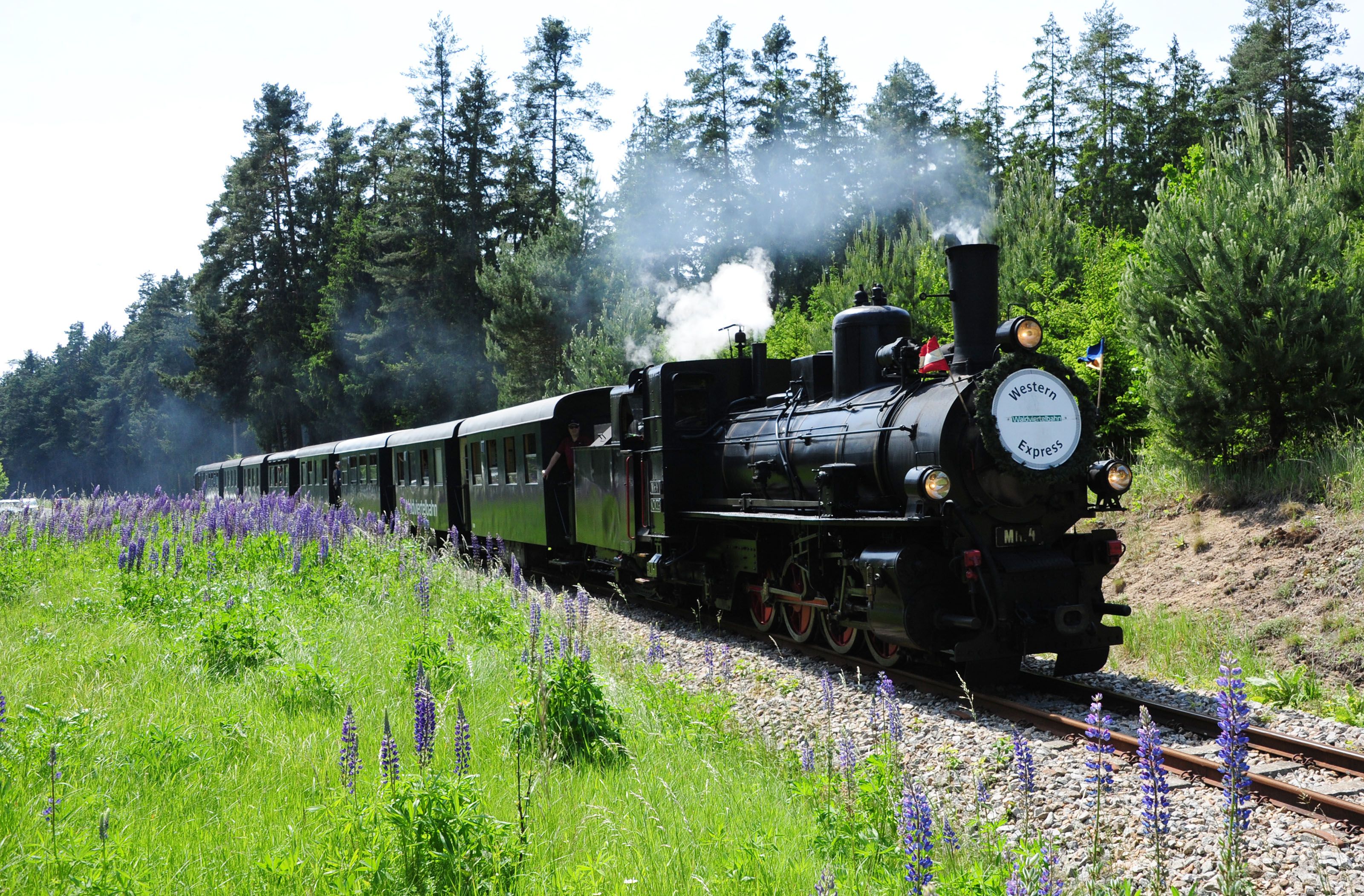 Dampfzug der Waldviertelbahn