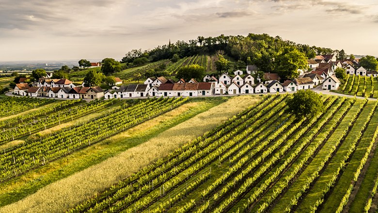 Weinviertler Landschaft