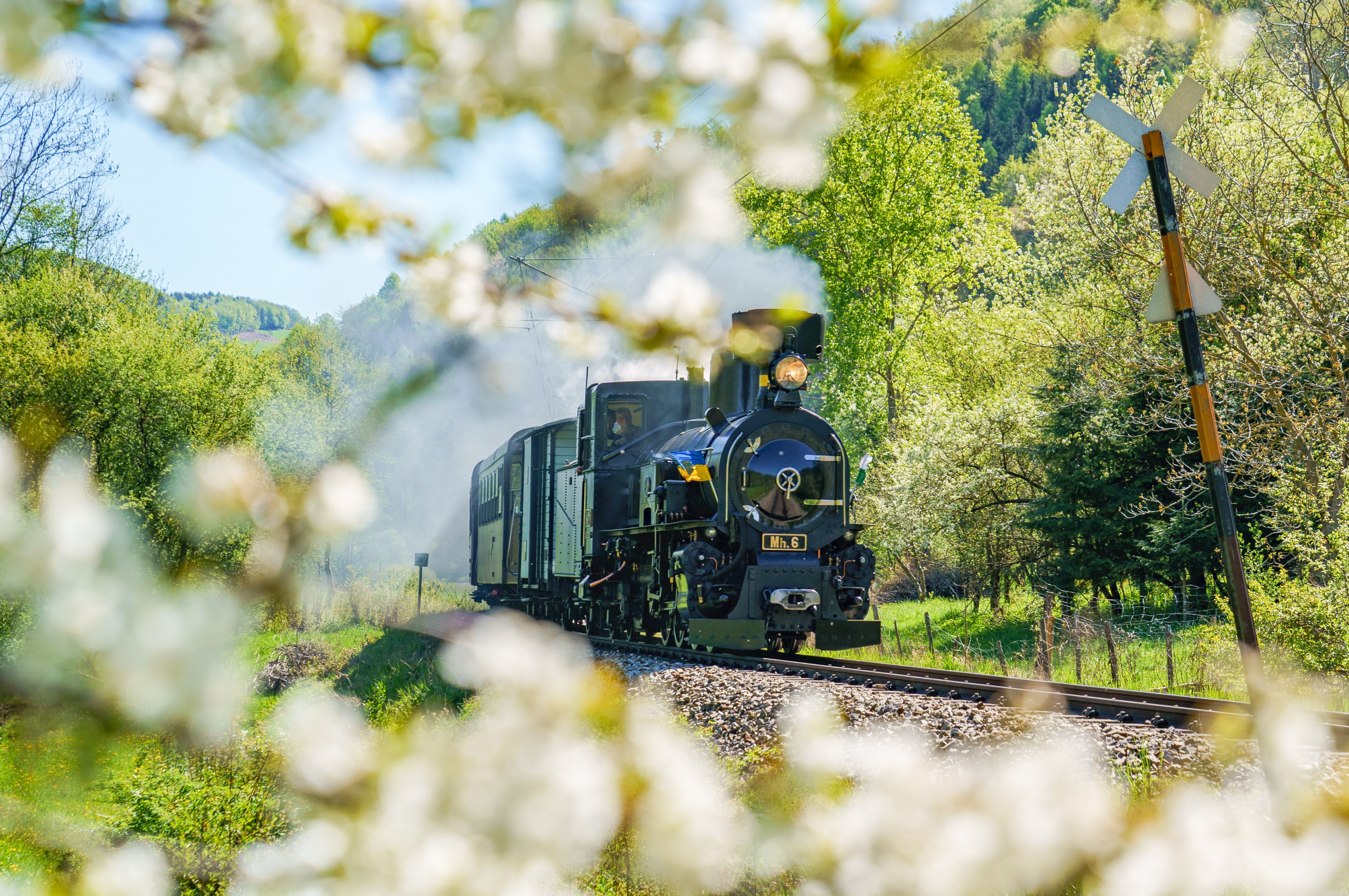 Dampflok der Mariazellerbahn im Sommer